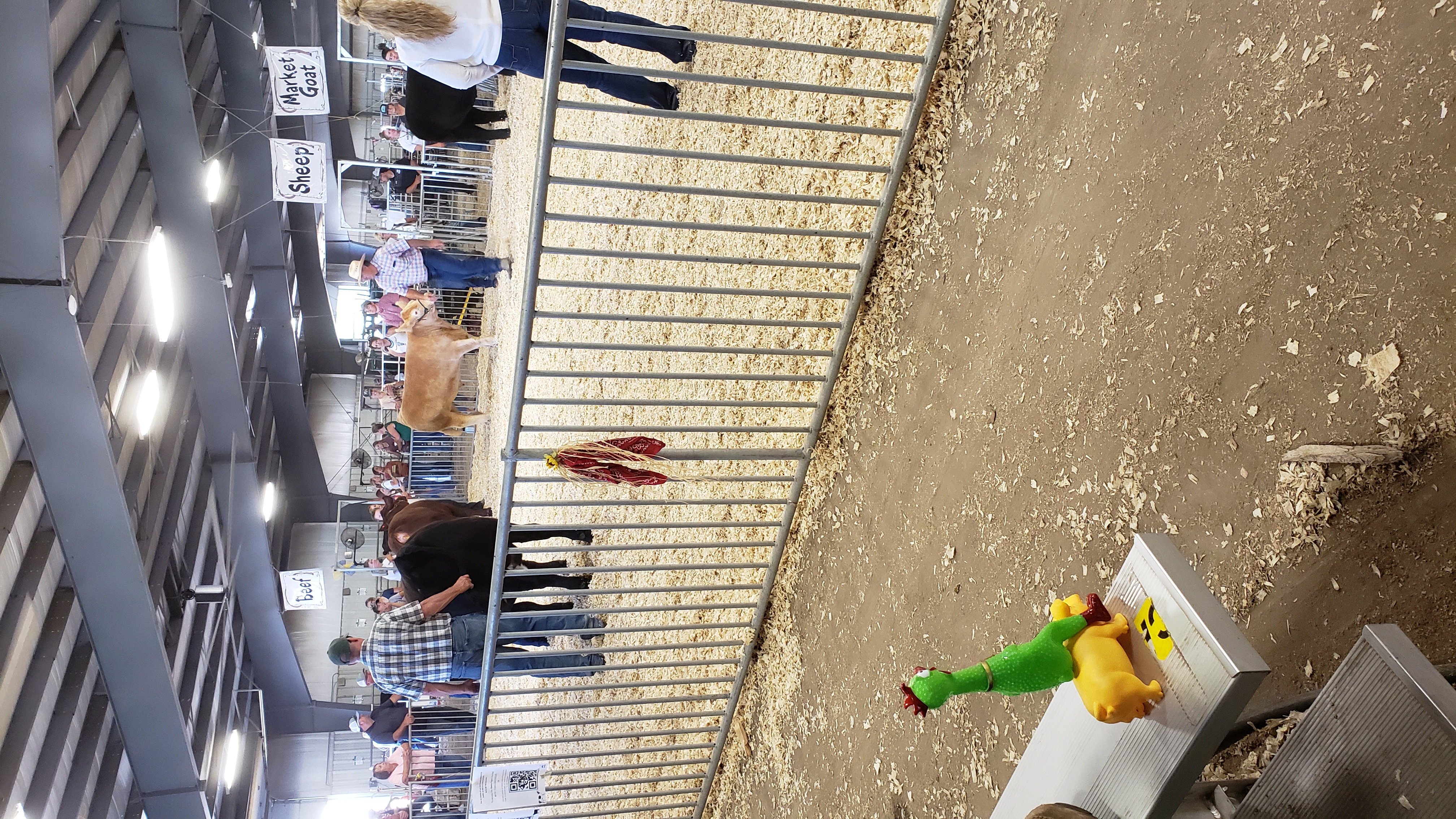 Hot Dog and Ranchy At The Fair